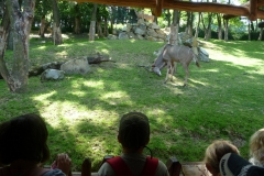 Školní výlet – ZOO Lešná