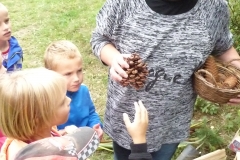 Mladoňov – ústav ekologického vzdělávání