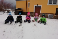 IMG_20190129_103344